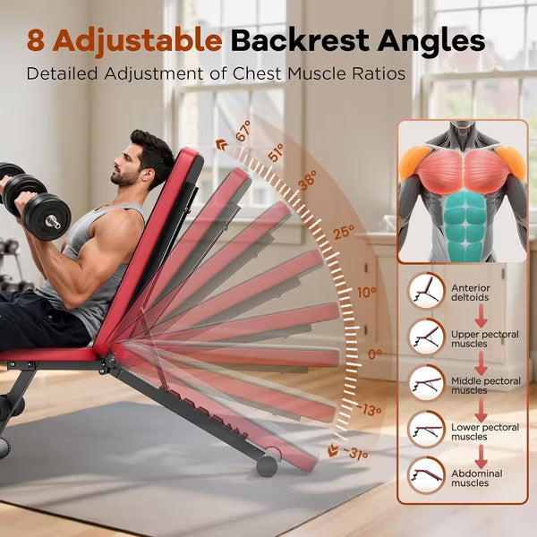 FED FITNESS Basic Adjustable Weight Bench for Home Gym, Foldable Workout Bench with 8 Backrests, 660LBS Weight Capacity