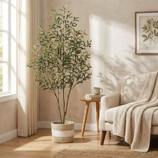 6FT Artificial Olive Tree Tall Faux Olive Trees Indoor with Planter&Cotton Basket, Artificial Plants with Natural Wood Trunk and Lifelike Fruits