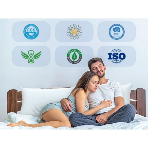 ALEEN & AJEAN Goose Down Pillows and Bed Pillows Queen Size for Sleeping,With 2 Set of Soft Cotton Cover- Pack of 2