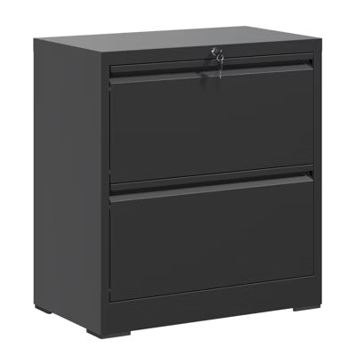 VIYET 27"H 2 Drawer Lateral File Cabinet with Lock, Steel Metal Filing Cabinet for Home Office, Fits Letter/Legal/A4(Black)