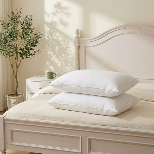 ALEEN & AJEAN Goose Down Pillows and Bed Pillows Queen Size for Sleeping,With 2 Set of Soft Cotton Cover- Pack of 2